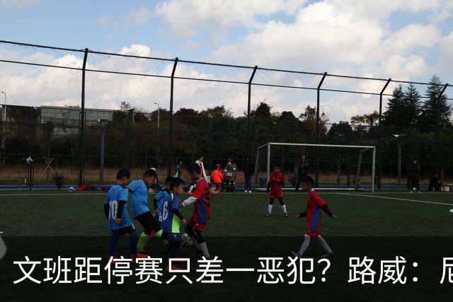 文班距停赛只差一恶犯？路威：尼克斯该疯狂上对抗试图激怒他